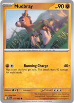 107 Mudbray Common
